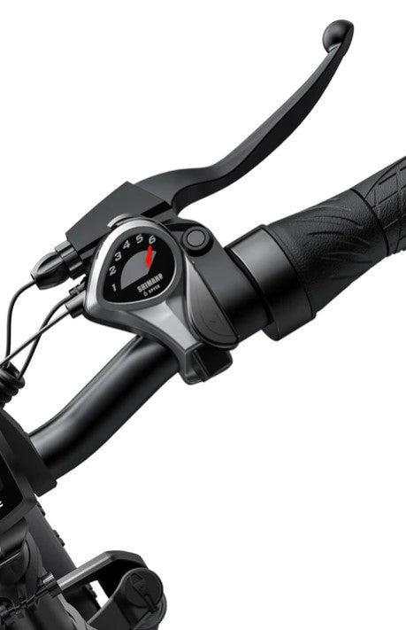 ENGWE EP-2 PRO 2.0 | Bicicletta Elettrica Pieghevole | Versatile | Motore: Brushless 250W | 48V 13Ah | Freni Idraulici | 25km/h | Autonomia 120Km| GARANZIA ITALIANA